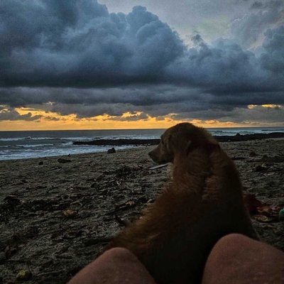 Esperando el Atardecer