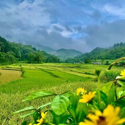 Perpaduan antara kebun dan ladang