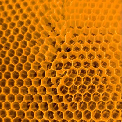 Real Honeycomb 