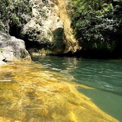 En contacto con la naturaleza 💚
