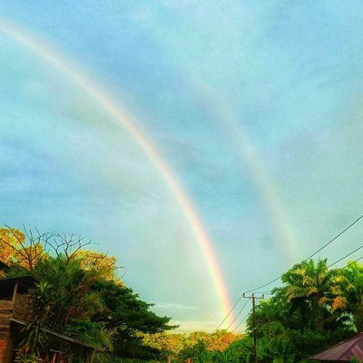 rainbow 