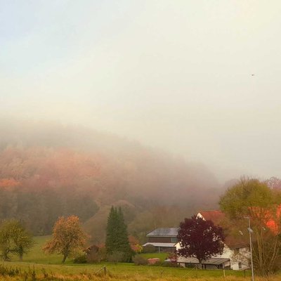 morning fog