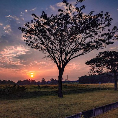 Backyard Sunset 