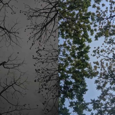 রং পাল্টায় দিন বদলায়া 