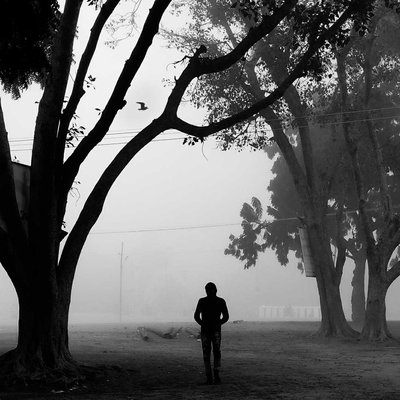 Winter foggy mornings 