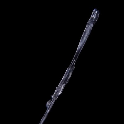 white hair root