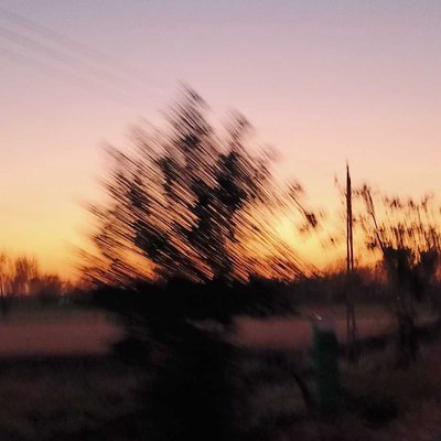 movement shot 
