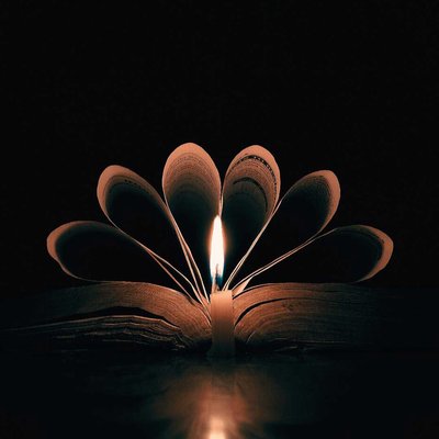 A flower of book