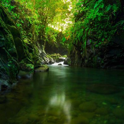 the beauty of the rock alley waterfall