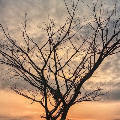 sun rise ku 