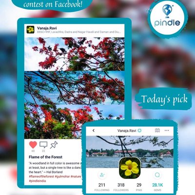 Pindle Today's pick 