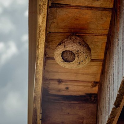 Casa abandonada 🐝