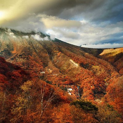 autumn 