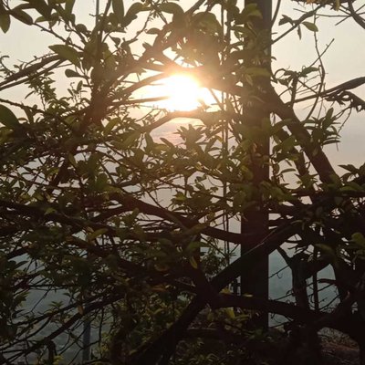 Morning view on top of hill