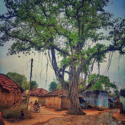 Beautiful view in village 2023