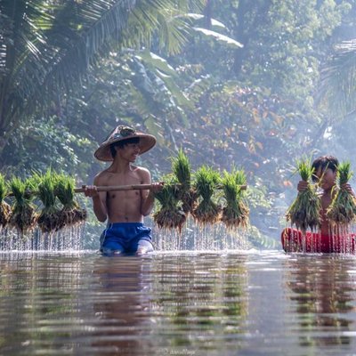 Hasil bumi Indonesia