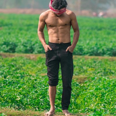 💫 FARMER 💫