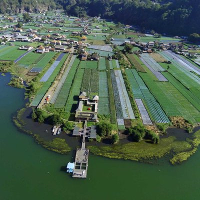 Vegetables Plantation - Lake Batur, Bali