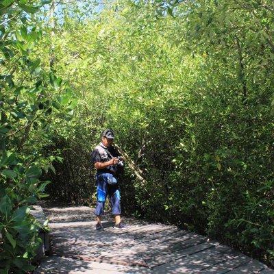 Kebun Raya Mangrove Gunung Anyar