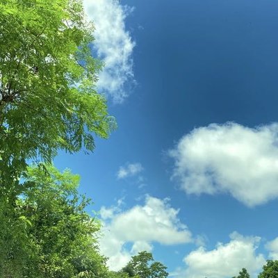 nature 😍📸