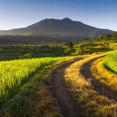 Rural Beauty.