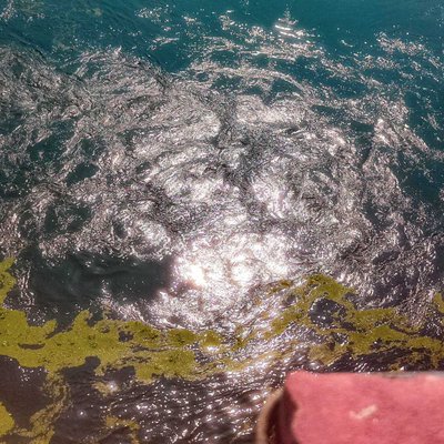 The Glowing River 💯