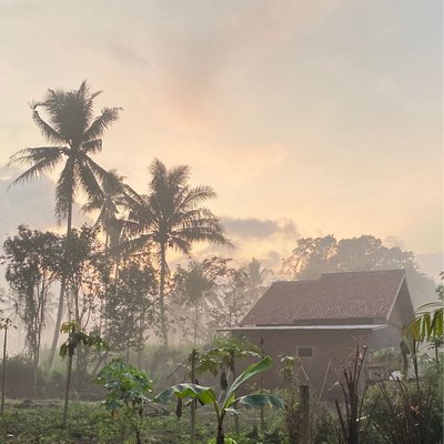 suasana desa malang