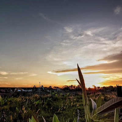 Senja