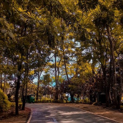 way to go to ambuluwawa tower  in srilanka 