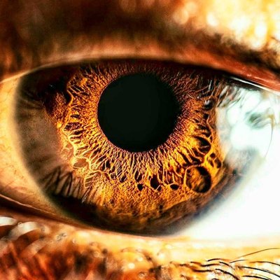 Macro shot of an eye. 