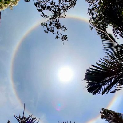 Halo ring