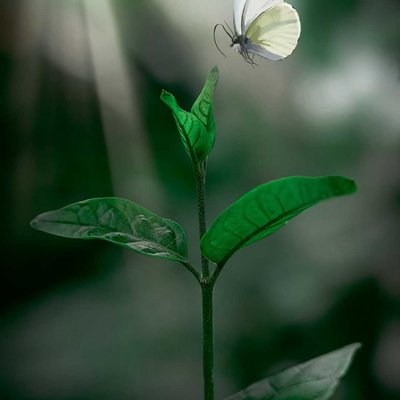Nature ❤️💫🥰