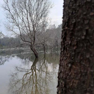 ছবিটি উল্টো করে দেখুন