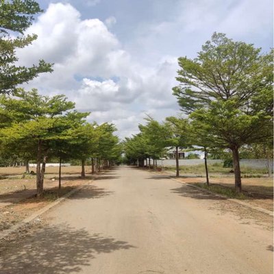 The long way