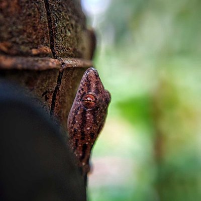 Macro World ✨