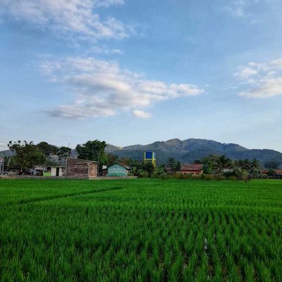 Pemandangan
