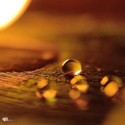 Golden Drop 