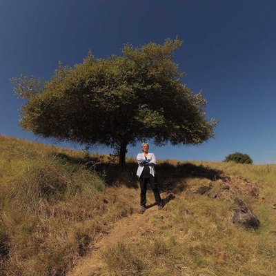 Bidara tree at Komodo Village