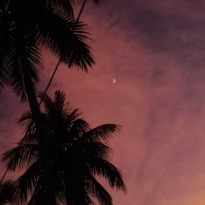 Magical Sky🌸