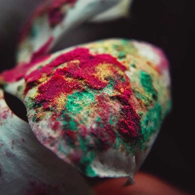 Macrophotography 