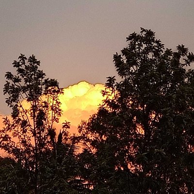 yesterday's sky was on fire 🔥