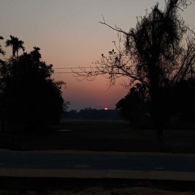 the beautiful sunset