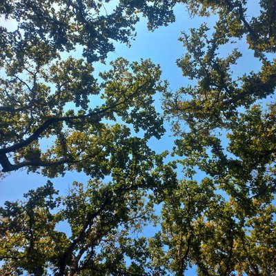Under the fresh air