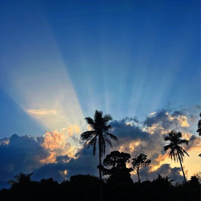 The Light Ray