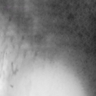 La vida en Blanco y negro