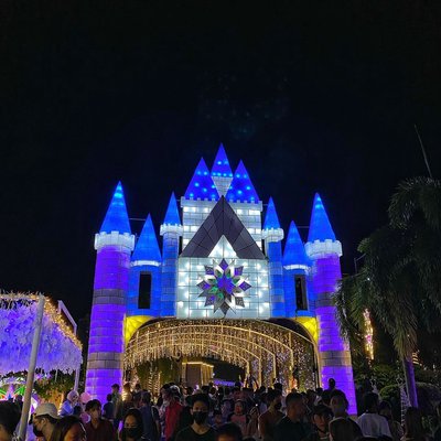Nights of Lights at the Orchid Gardens
