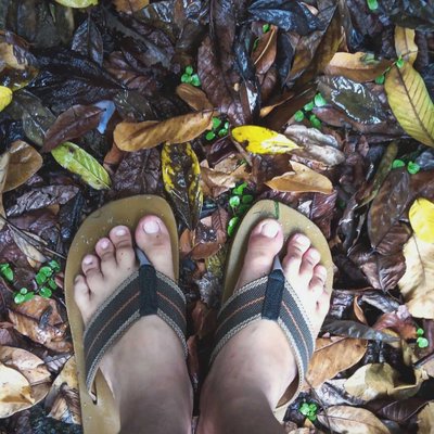 After the rain in pre-winter