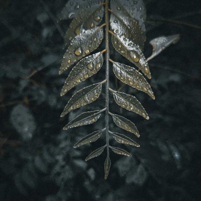 Water drops 💦