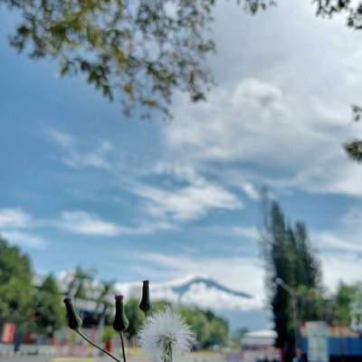 Blurrrr