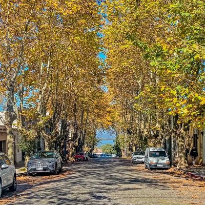 Un bonito otoño 🍂🍁 por Uruguay